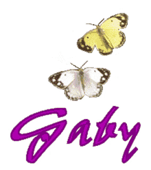 gabi butterfly