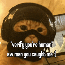 a cat wearing headphones and a mask with the words verify you 're human aw man you caught me