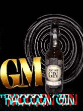Raccoongin Raccoon Gin GIF - Raccoongin Raccoon Gin Raccoon Gin Gm GIFs
