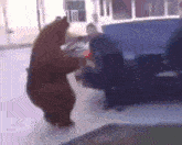 медведь валера GIF - медведь валера танцует GIFs