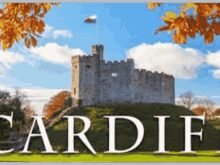 Cardiff Cardi B GIF - Cardiff Cardi B Wilbur GIFs