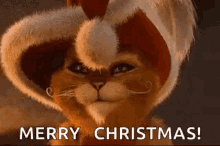Merry Christmas Cat GIF - Merry Christmas Cat Cute GIFs