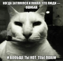 a black and white photo of a cat with a cigarette in its mouth and a meme written in russian