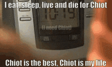 Chiot Is My Best Friend Chiot Is The Best GIF - Chiot Is My Best Friend Chiot Is The Best Chiot GIFs