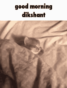 Dikshant GIF - Dikshant GIFs