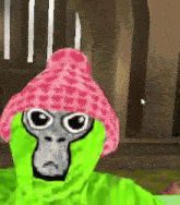 a cartoon monkey wearing a pink hat and a green hood
