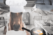 Tomascore Cooking GIF - Tomascore Cooking Horse GIFs
