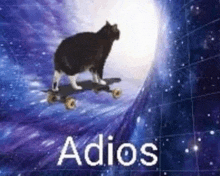 a cat is riding a skateboard through a wormhole in space .