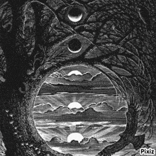 a black and white drawing of a tree and a bird with pixiz written at the bottom