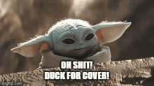Oh Shit Duck For Cover Duck GIF - Oh Shit Duck For Cover Duck Oh Crap GIFs