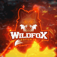 Wild Fox Boni Arts GIF - Wild Fox Boni Arts E Sports GIFs