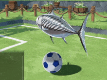 Fish Spin GIF - Fish Spin Soccer GIFs