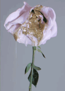 Rose Glitter GIF