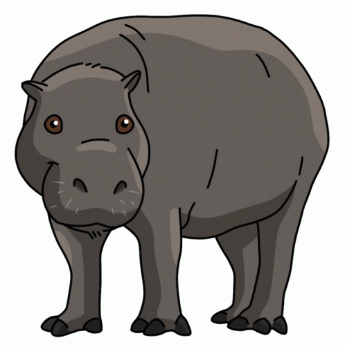 Hippo Pygmy Hippopotamus Sticker Hippo Pygmy Hippopotamus Discover