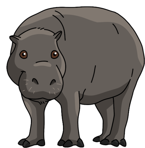 Hippo Pygmy Hippopotamus Sticker - Hippo Pygmy Hippopotamus Stickers