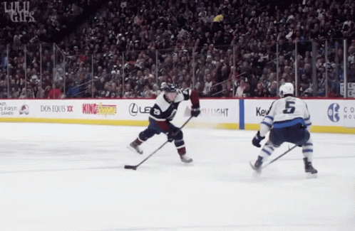 Colorado Avalanche Avalanche GIF - Colorado Avalanche Avalanche Stanley Cup  - Discover & Share GIFs