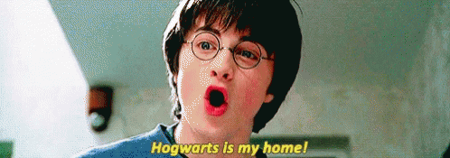 Hogwarts Home GIF - Hogwarts Home Harry GIFs