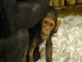 a baby chimpanzee is looking at the camera while sitting on a pile of paper .