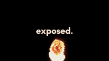 Exposed GIF - Exposed GIFs