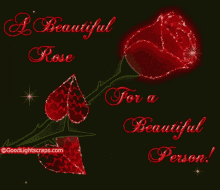 A Beautiful Rose For A Beautiful Person GIF - A Beautiful Rose For A Beautiful Person Red Rose GIFs