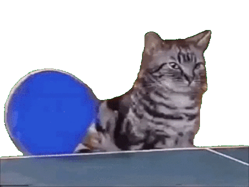 Get Real Cat Sticker - Get Real Cat Ping Pong Stickers