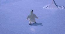 Polar Bear Dance GIF