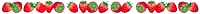 a row of red and green flowers on a white background