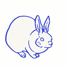 Rabbit White Rabbit GIF