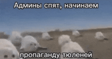 a bunch of animals are laying on the ground with russian writing