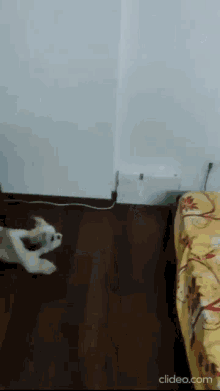 overly attached girlfriend dog gif