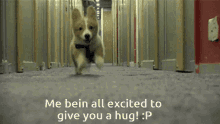 Excited To Give You A Hug Excited To Hug You GIF - Excited To Give You A Hug Excited To Hug You I Wanna Hug You GIFs