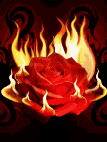 Rose Fire GIF