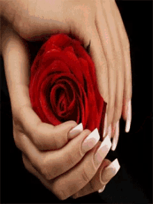 Hand Nails GIF - Hand Nails Red GIFs