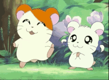 GIF