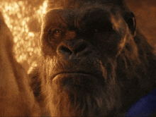 Godzilla X Kong The New Empire Stare GIF