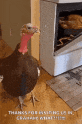 a turkey is standing in front of a stove with a turkey in it .