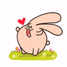 rabbit pink happy animation animal
