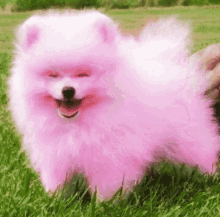 Pink Dog Roll GIF - Pink Dog Roll GIFs