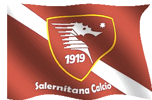 Salernitana 1919 Sticker - Salernitana 1919 Salernitana Calcio Stickers