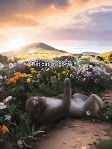 a monkey laying in a field of flowers with the words let dat shi go twin