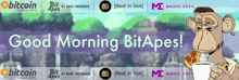 Bitape Bitapes GIF - Bitape Bitapes GIFs