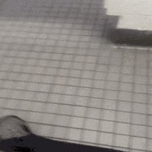 Cmonster In The Bathroom GIF