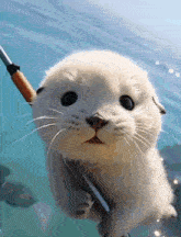 a baby seal holding a fishing rod in the water
