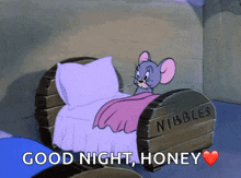 tom and jerry nibbles bed bedtime sleep