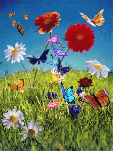 Flowers Butterfly GIF - Flowers Butterfly Beautiful - Discover & Share GIFs