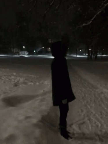 falling snow at night gif