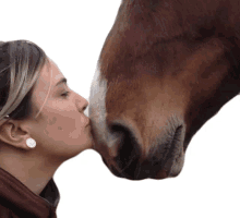 kiss failarmy horse pony sweet