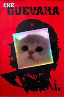 a poster of che guevara with a cat in the middle