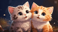 Two Kittens Mesmerized GIF - Two Kittens Mesmerized Having Fun GIFs