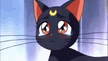 Black Cat Crying GIF - Black Cat Crying Misunderstood GIFs